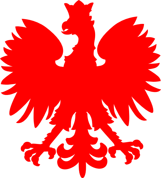 Economical IPTV Service in Poland