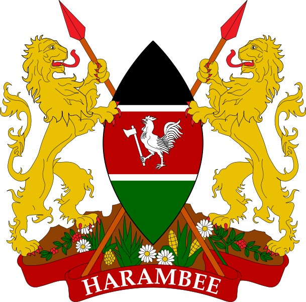 Cheap IPTV Subscription in Kenya